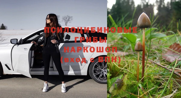 бошки Алзамай