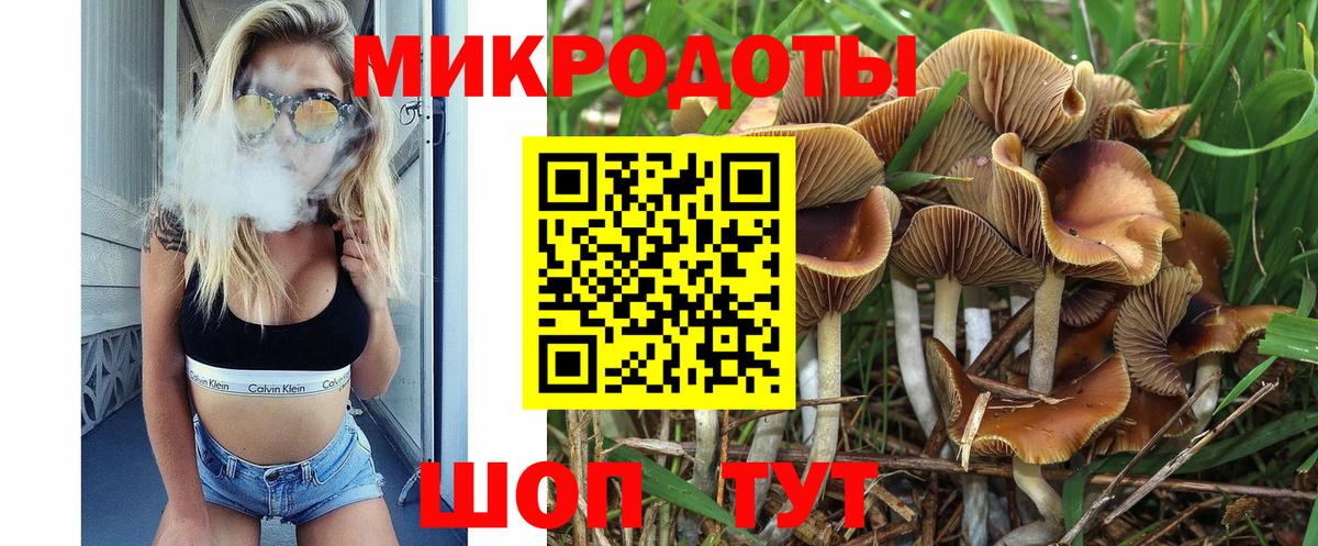Подольск  Псилоцибиновые грибы MAGIC MUSHROOMS  Вход с VPN  Галлюциногенные грибы мухоморы 